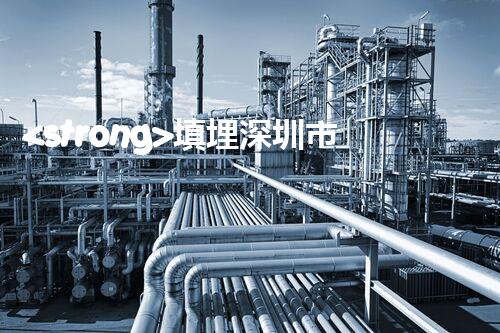 <strong>填埋深圳市危險(xiǎn)廢物處理站有限公司化工設(shè)施安全解體：如何高效處理復(fù)雜工業(yè)遺留問題？</strong>